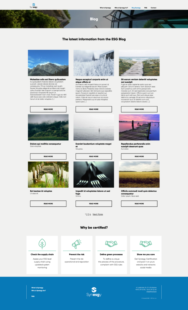 Full Site Editing (FSE) Blog Edition View