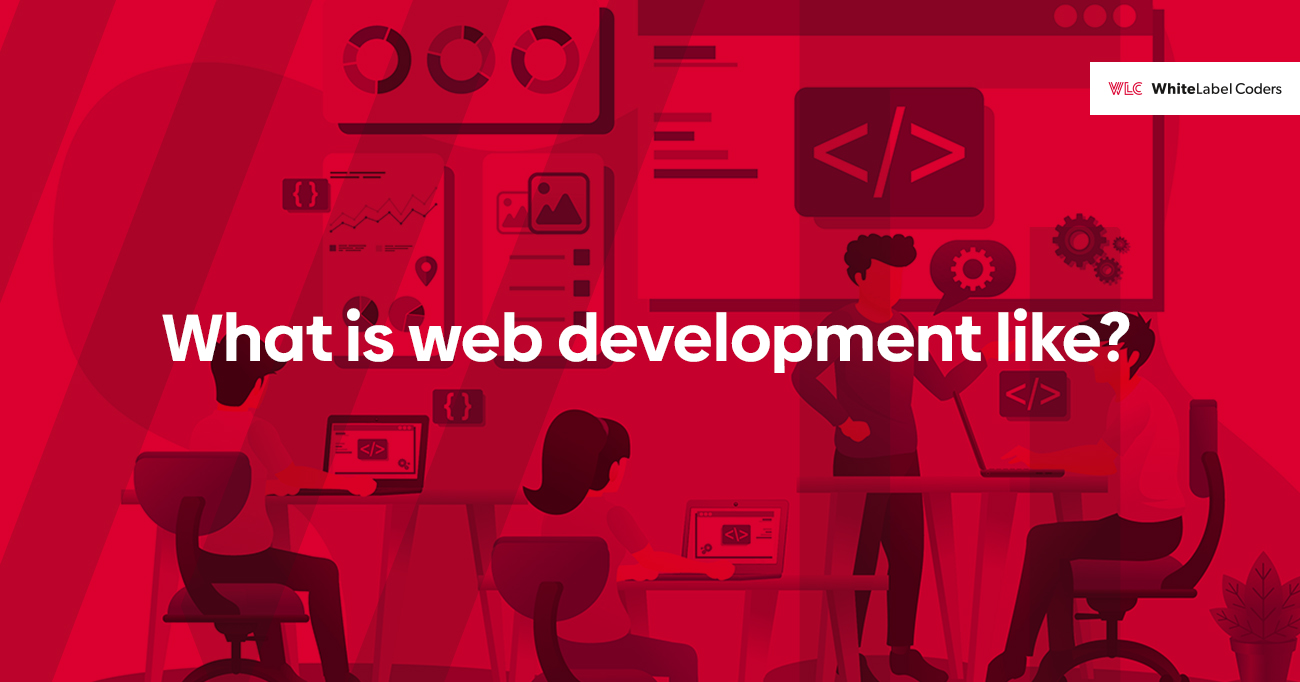 What is web development like?